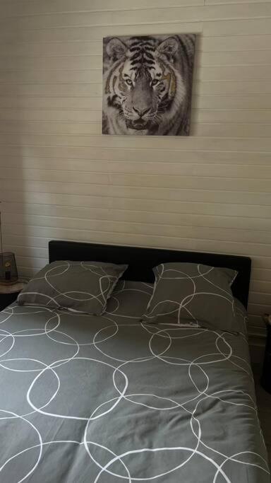 Magnifique Appartement T2 Le Barcarès Zewnętrze zdjęcie